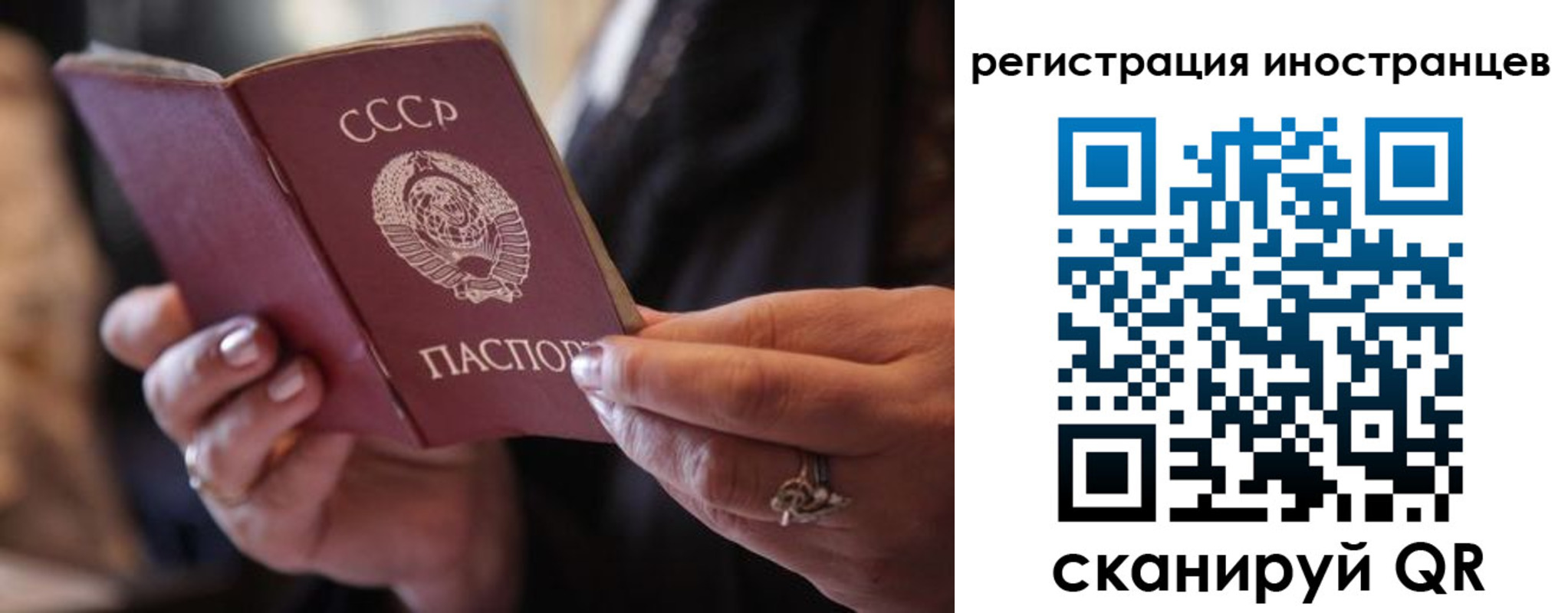 где прописаться в Щучье
